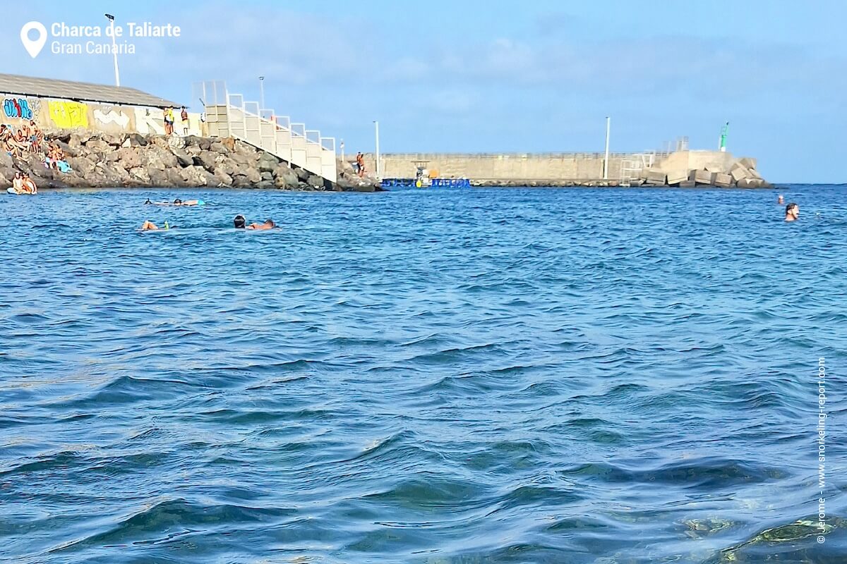 Charca de Taliarte, Gran Canaria