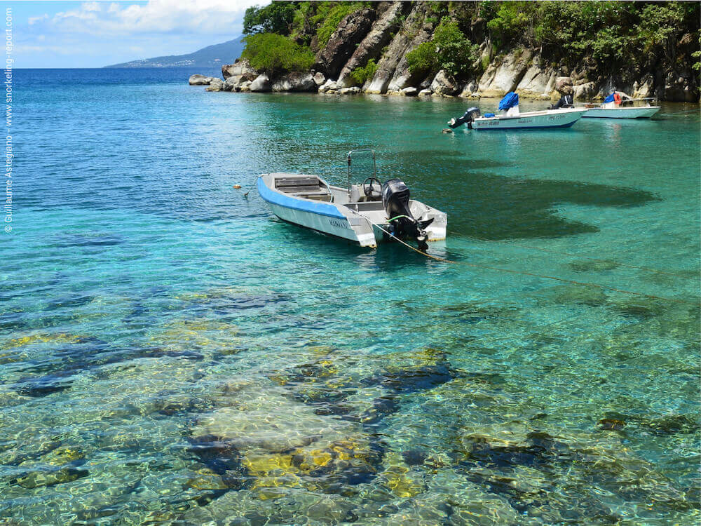 Snorkeling In Guadeloupe The Best Snorkeling Spots In