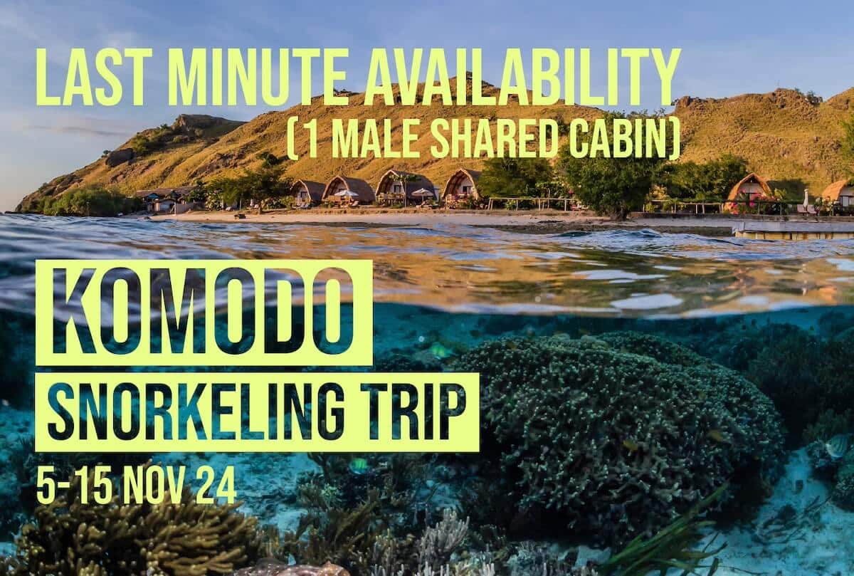 Komodo 2024 Snorkeling Adventure