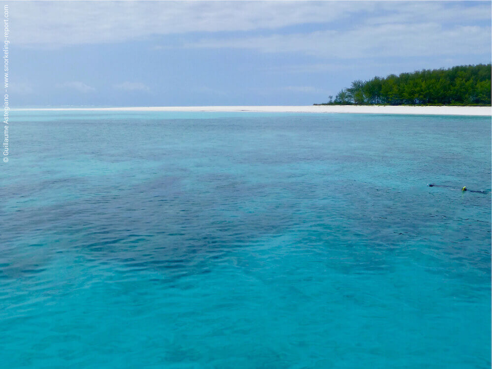 Snorkeling Mnemba Island Zanzibar Tanzania