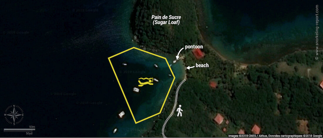 Pain de Sucre Beach snorkeling map, Guadeloupe