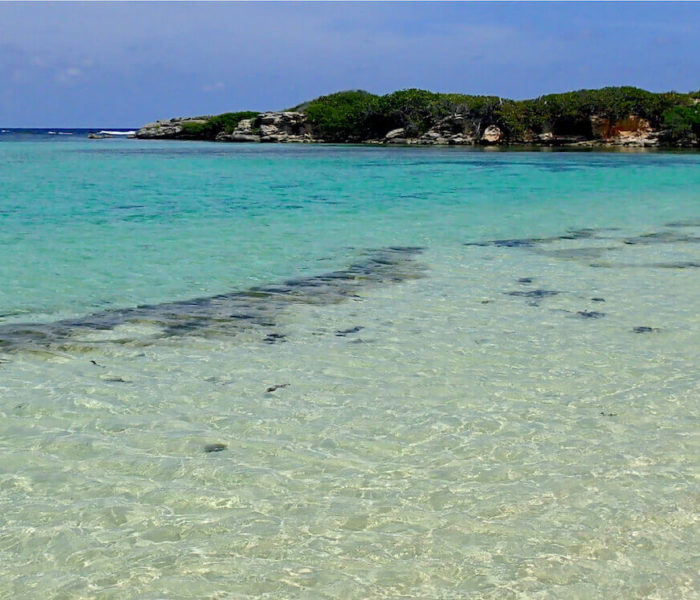 Snorkeling Spot At Malendure Beach Guadeloupe