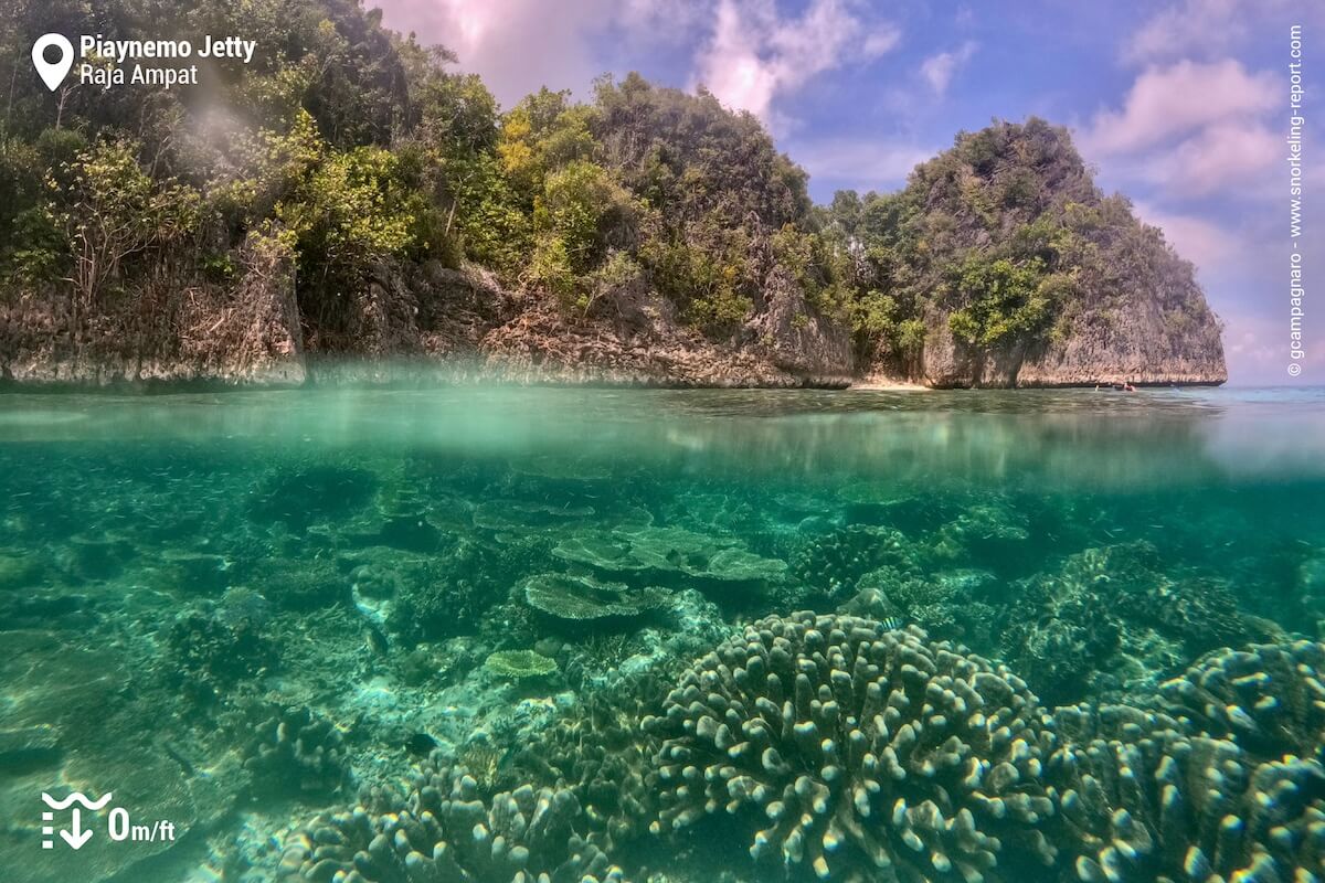 Piaynemo Island's reef