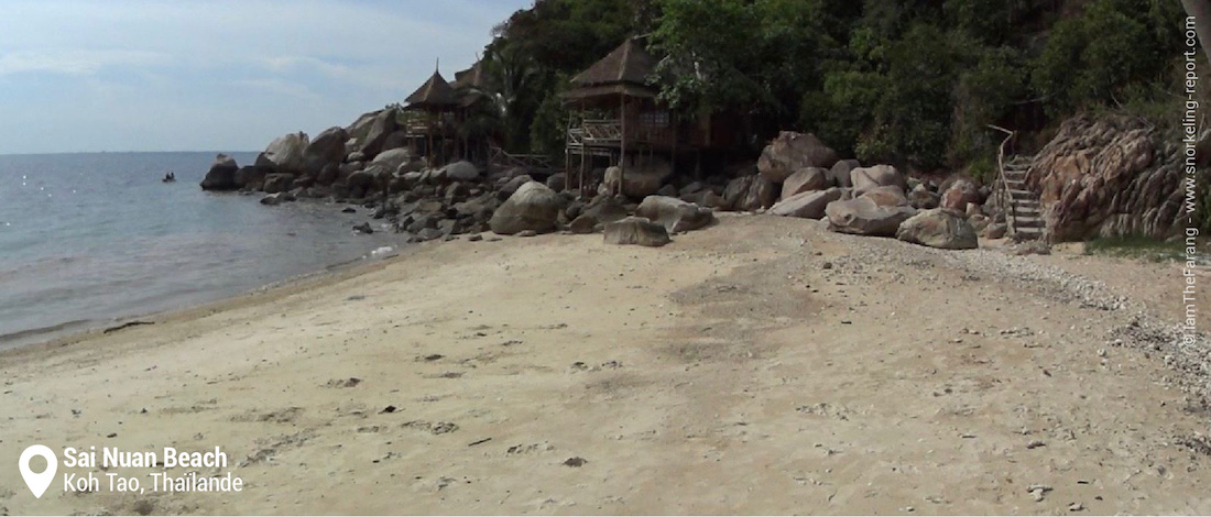 Snorkeling à Sai Nuan Beach Ko Tao Thaïlande