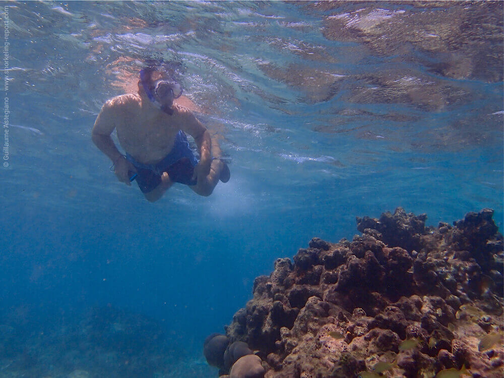 Snorkeling Playa Del Carmen Riviera Maya Mexico