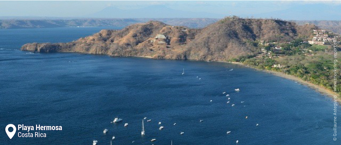 Snorkeling At Playa Hermosa Guanacaste Costa Rica