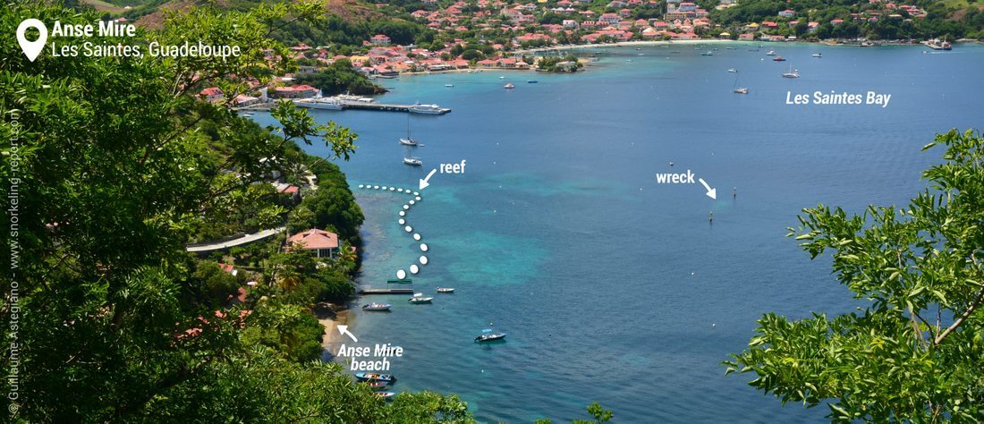 Snorkeling Anse Mire Les Saintes Guadeloupe