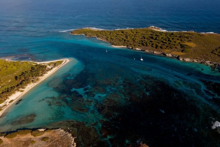 Snorkeling Guadeloupe | A Guide To The Best Spots | Snorkeling Report