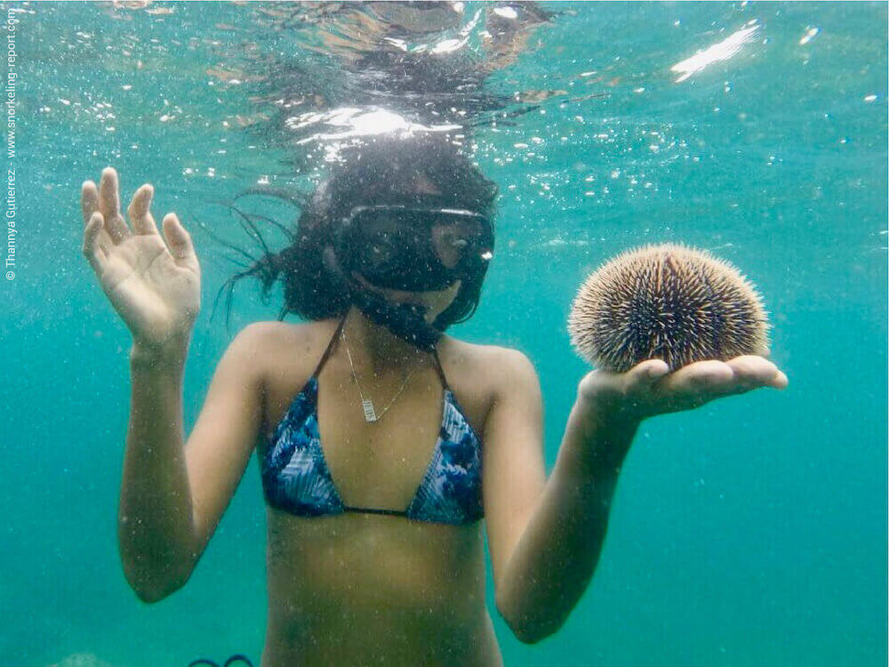 Snorkeling At Playa Hermosa Guanacaste Costa Rica