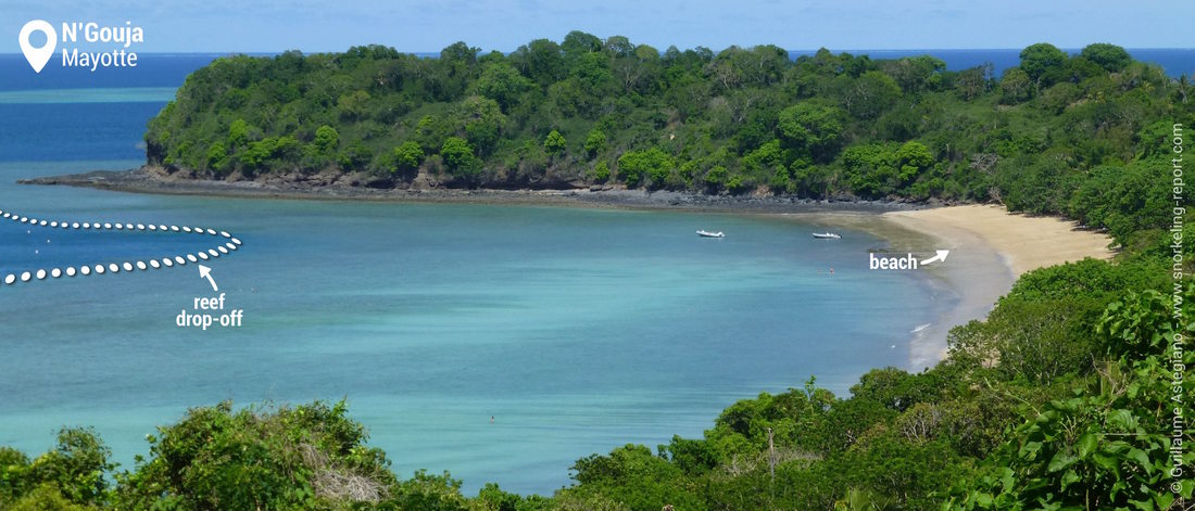 Snorkeling At Ngouja Beach Mayotte