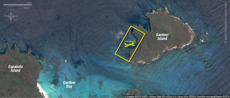 Gardner Island Galapagos Snorkeling Map 768x328 