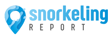 Snorkeling Report