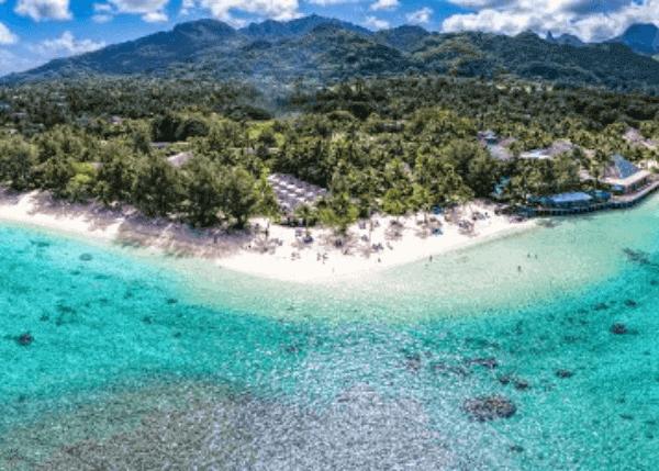 Snorkeling In Aroa Marine Reserve, Rarotonga 