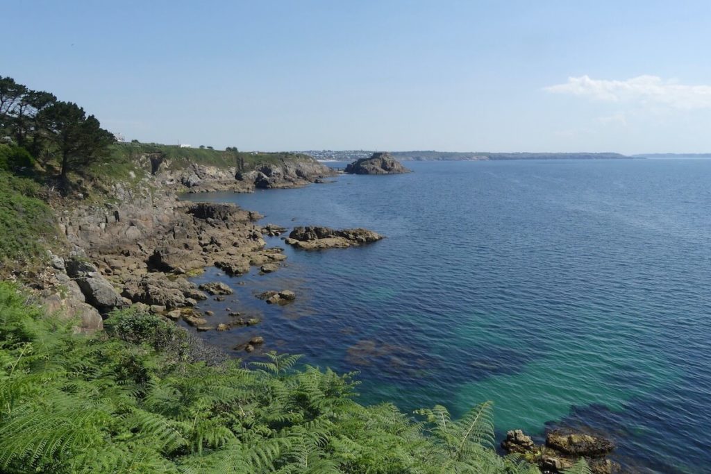 Snorkeling Brittany | A Guide to the Best Spots | Snorkeling Report