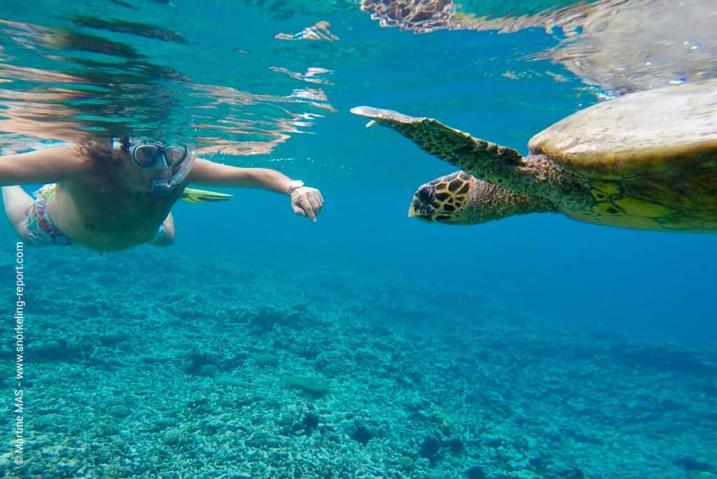 Snorkeling Seychelles 