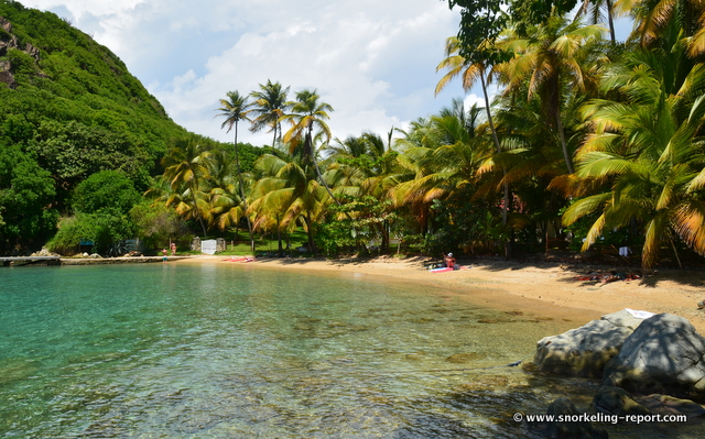 Snorkeling at Pain de Sucre Beach, Les Saintes | Snorkeling in Guadeloupe